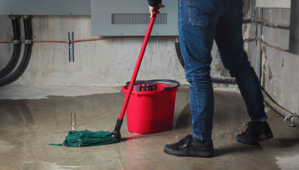 Best Water damage cleanup near me  in Harriman, TN