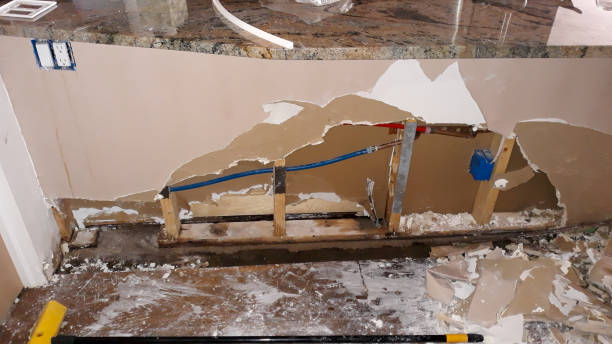 Best 24-hour water damage restoration  in Harriman, TN