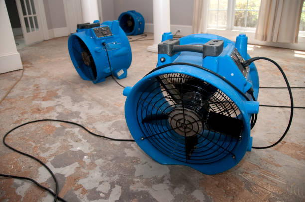 Best Commercial water damage restoration  in Harriman, TN